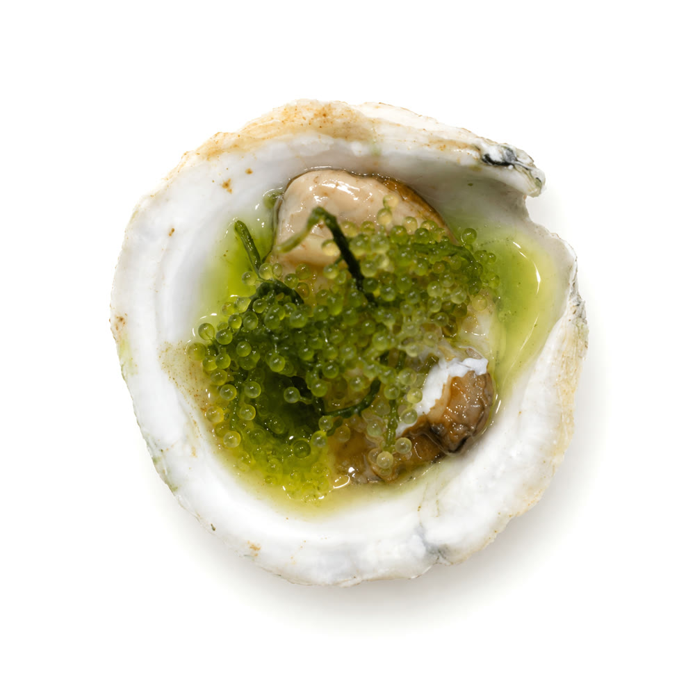 Oyster topped with latok sea grapes and green chilli sauce